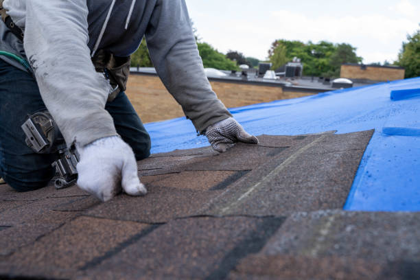 Best Residential Roofing Contractor  in Delavan, WI